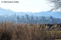 Velden Neujahrschwimmen im Casino Bad 38  Hermann Sobe